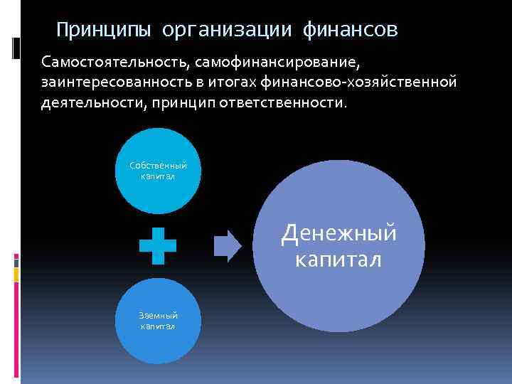 Принципы организации финансов Самостоятельность, самофинансирование, заинтересованность в итогах финансово-хозяйственной деятельности, принцип ответственности. Собственный капитал