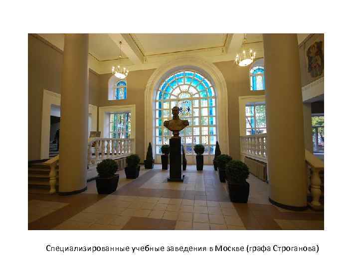 Специализированные учебные заведения в Москве (графа Строганова) 