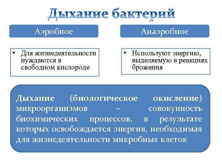 Энергия необходимая для жизнедеятельности человека освобождается