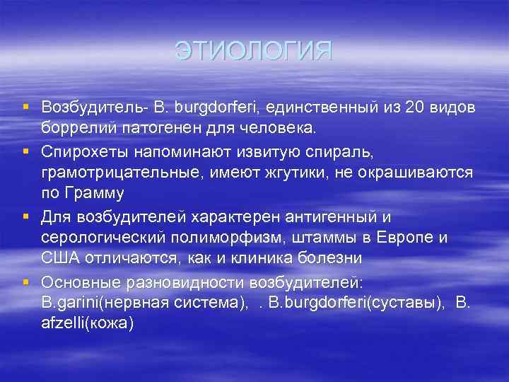 ЭТИОЛОГИЯ § Возбудитель- B. burgdorferi, единственный из 20 видов боррелий патогенен для человека. §