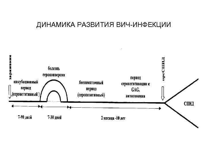 ДИНАМИКА РАЗВИТИЯ ВИЧ-ИНФЕКЦИИ 