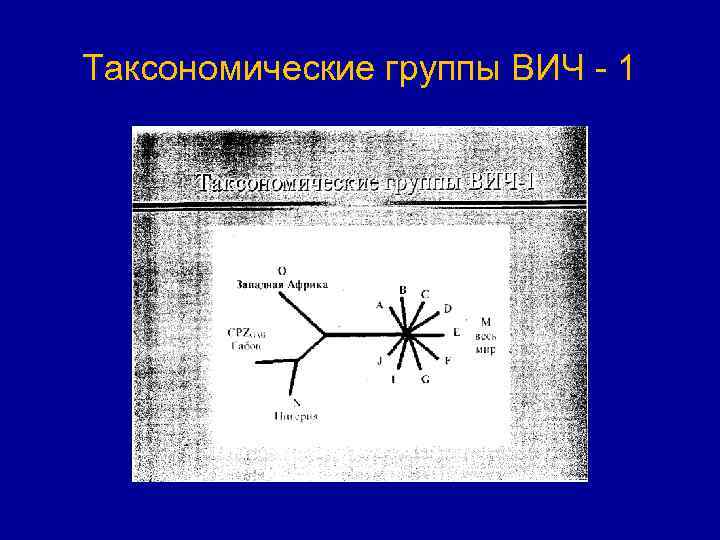 Таксономические группы ВИЧ 1 