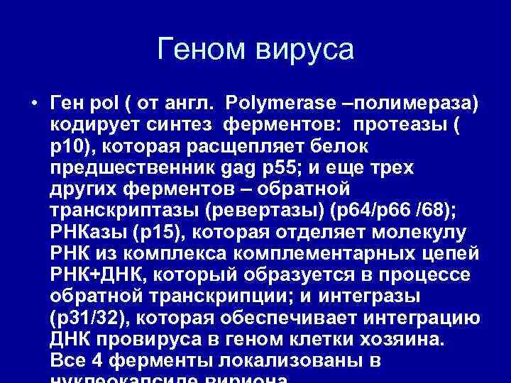 Геном вируса • Ген pol ( от англ. Polymerase –полимераза) кодирует синтез ферментов: протеазы