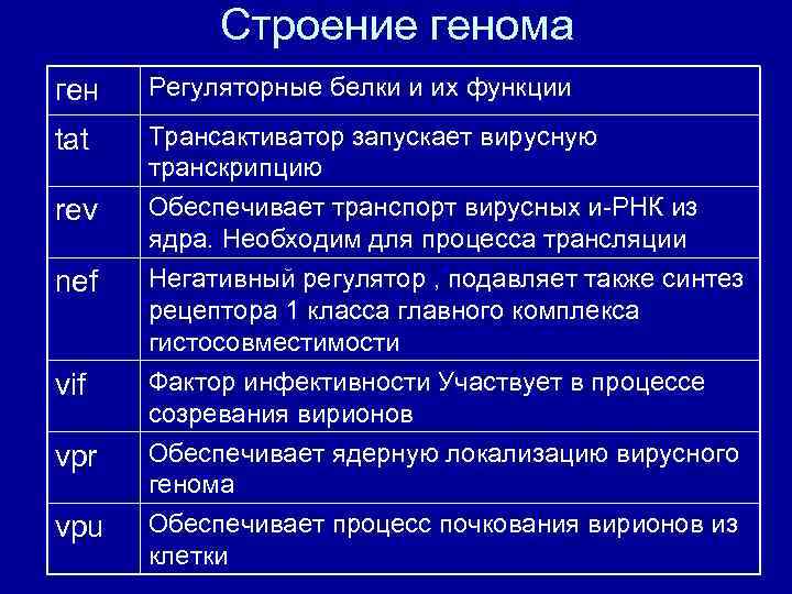 Строение генома ген Регуляторные белки и их функции tat Трансактиватор запускает вирусную транскрипцию Обеспечивает