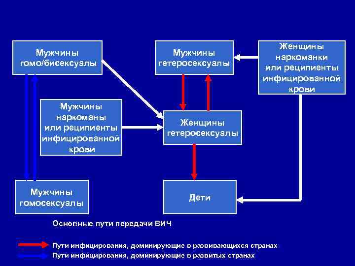 Мужчины гомо/бисексуалы Мужчины наркоманы или реципиенты инфицированной крови Мужчины гетеросексуалы Женщины наркоманки или реципиенты