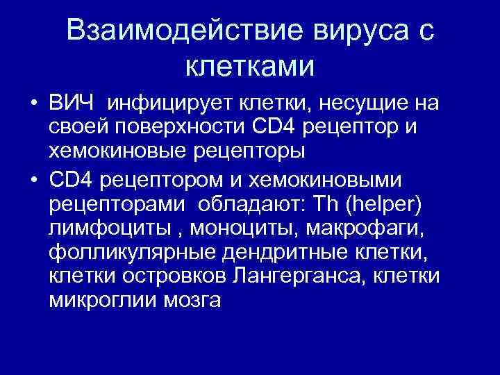 Взаимодействие вируса с клетками • ВИЧ инфицирует клетки, несущие на своей поверхности CD 4