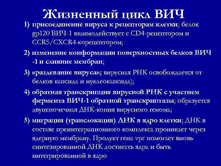 Жизненный цикл ВИЧ 1) присоединение вируса к рецепторам клетки; белок gp 120 ВИЧ-1 взаимодействует