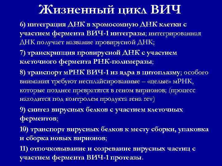 Жизненный цикл ВИЧ 6) интеграция ДНК в хромосомную ДНК клетки с участием фермента ВИЧ-1
