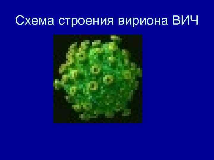 Схема строения вириона ВИЧ 