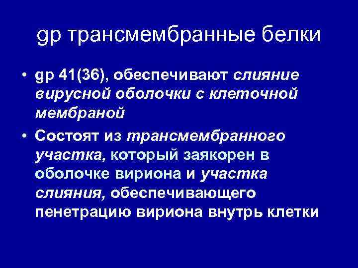 gp трансмембранные белки • gp 41(36), обеспечивают слияние вирусной оболочки с клеточной мембраной •