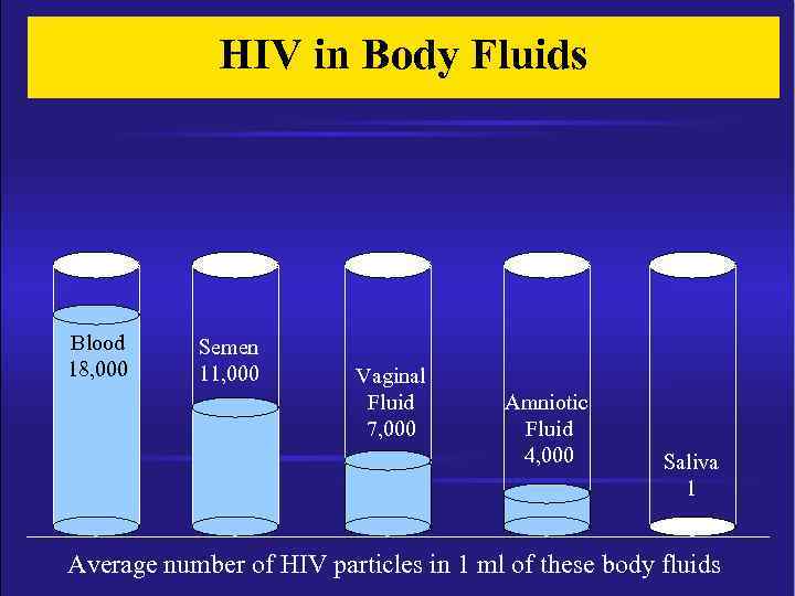 HIV in Body Fluids Blood 18, 000 Semen 11, 000 Vaginal Fluid 7, 000