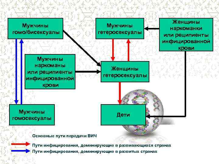 Мужчины гомо/бисексуалы Мужчины наркоманы или реципиенты инфицированной крови Мужчины гомосексуалы Мужчины гетеросексуалы Женщины наркоманки