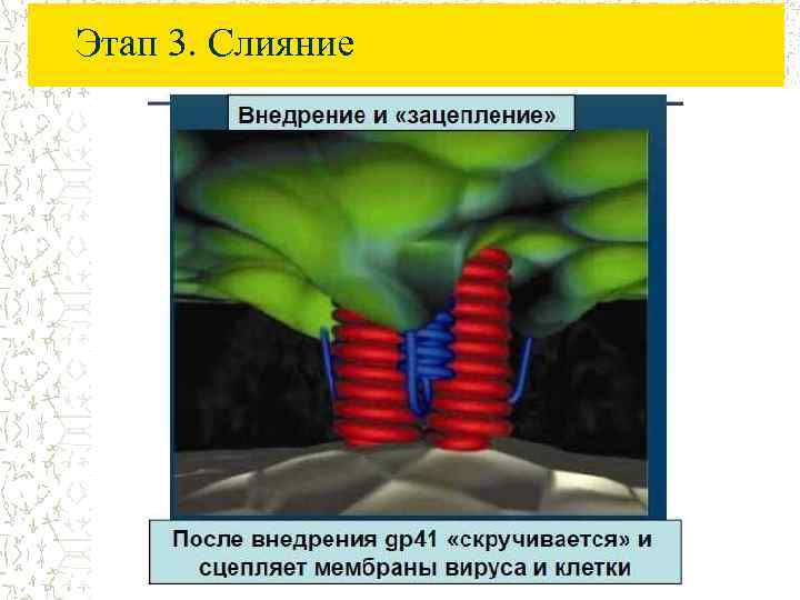 Этап 3. Слияние 