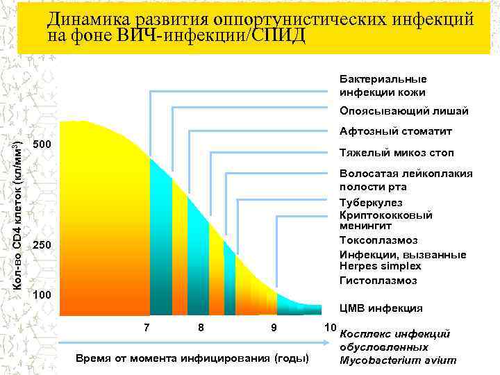 Динамика развития оппортунистических инфекций на фоне ВИЧ-инфекции/СПИД Бактериальные инфекции кожи Опоясывающий лишай Кол-во CD