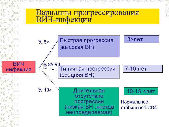 Варианты прогрессирования ВИЧ-инфекции % 5> ВИЧ инфекция Быстрая прогрессия )высокая ВН( % 85 -90