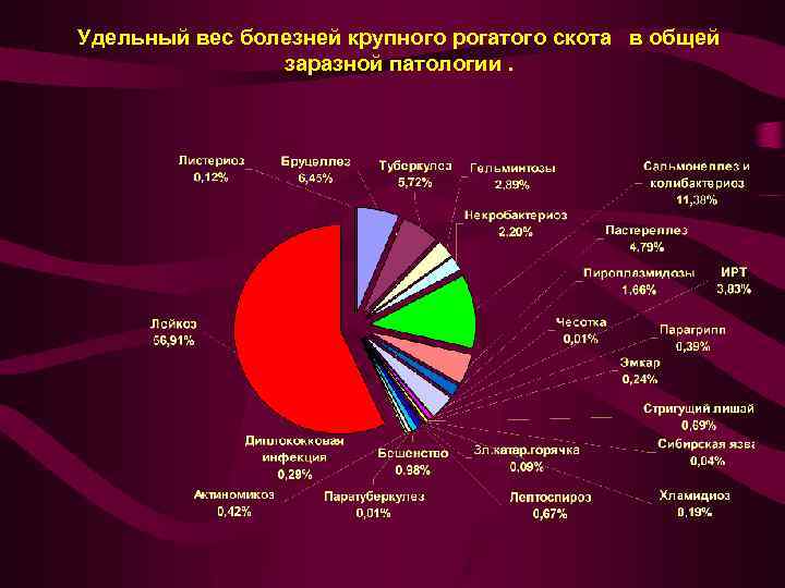 Удельный вес болезней крупного рогатого скота в общей заразной патологии. 