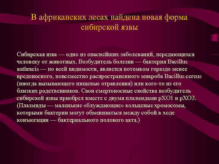 В африканских лесах найдена новая форма сибирской язвы Сибирская язва — одно из опаснейших