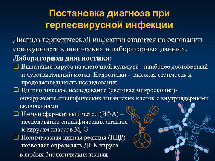 Постановка диагноза при герпесвирусной инфекции Диагноз герпетической инфекции ставится на основании совокупности клинических и