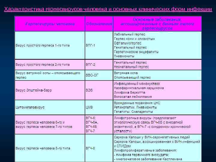 Характеристика герпесвирусов человека и основных клинических форм инфекции 