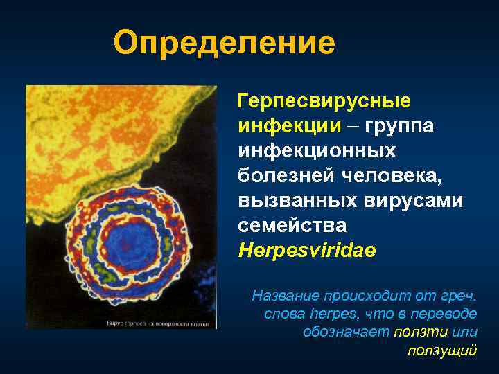Определение Герпесвирусные инфекции – группа инфекционных болезней человека, вызванных вирусами семейства Herpesviridae Название происходит