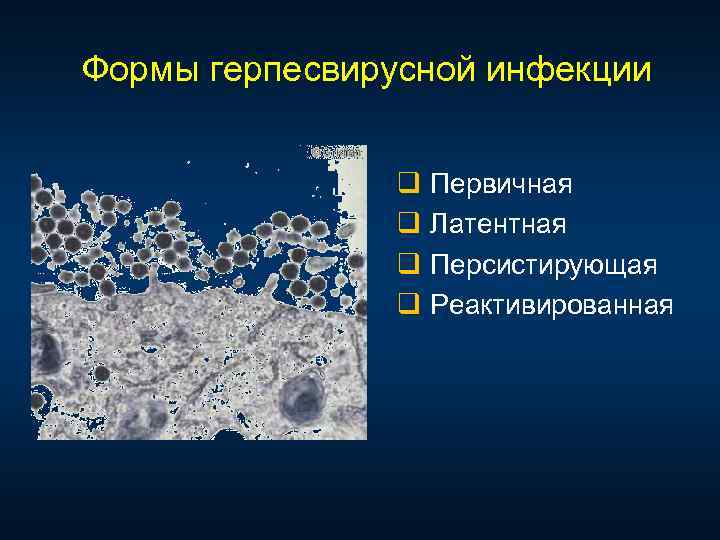 Формы герпесвирусной инфекции q Первичная q Латентная q Персистирующая q Реактивированная 