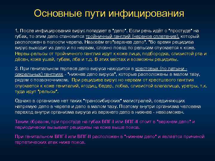 Основные пути инфицирования 1. После инфицирования вирус попадает в 