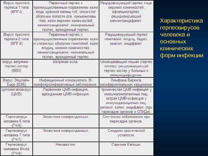 Характеристика герпесвирусов человека и основных клинических форм инфекции 