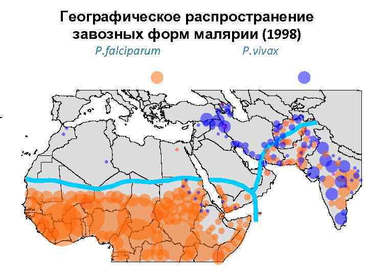 Географическое распространение завозных форм малярии (1998) P. falciparum P. vivax 