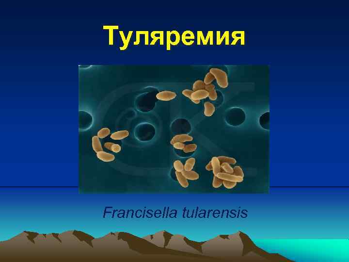 Туляремия Francisella tularensis 