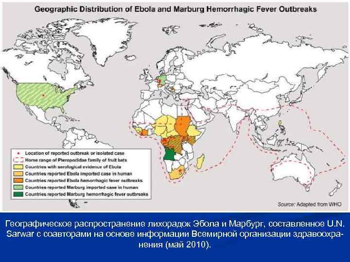 Географическое распространение лихорадок Эбола и Марбург, составленное U. N. Sarwar с соавторами на основе