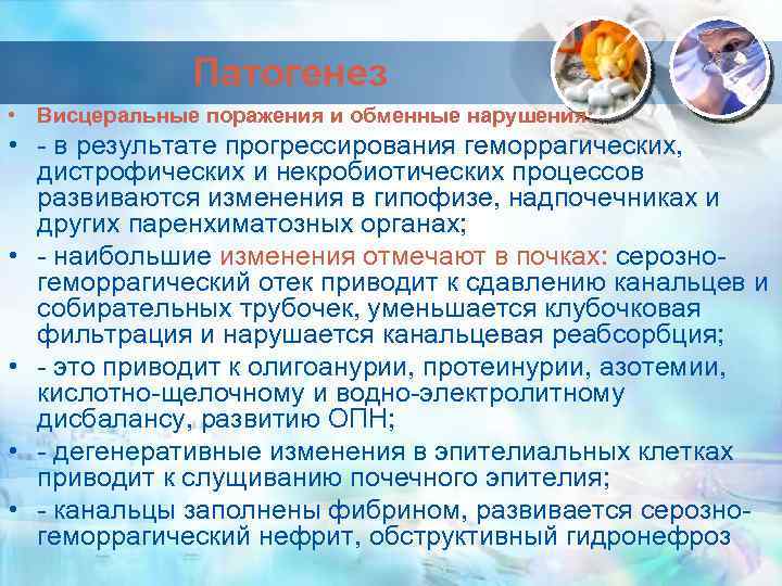 Патогенез • Висцеральные поражения и обменные нарушения: • - в результате прогрессирования геморрагических, дистрофических