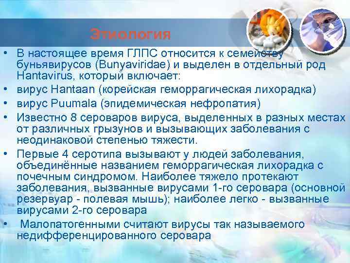 Этиология • В настоящее время ГЛПС относится к семейству буньявирусов (Bunyaviridae) и выделен в