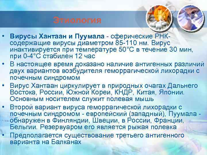 Этиология • Вирусы Хантаан и Пуумала - сферические РНКсодержащие вирусы диаметром 85 -110 нм.