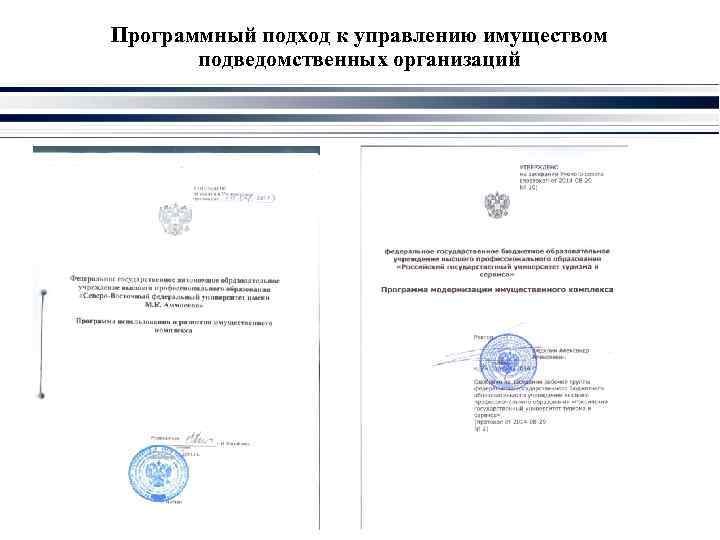Программный подход к управлению имуществом подведомственных организаций 