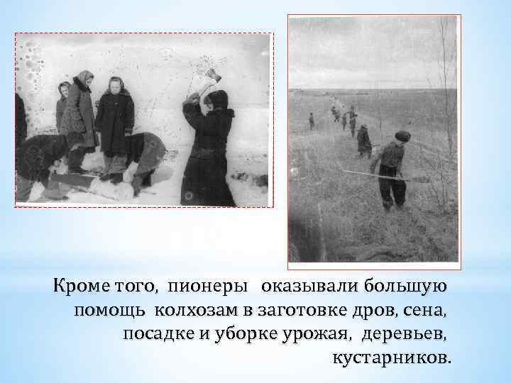 Кроме того, пионеры оказывали большую помощь колхозам в заготовке дров, сена, посадке и уборке