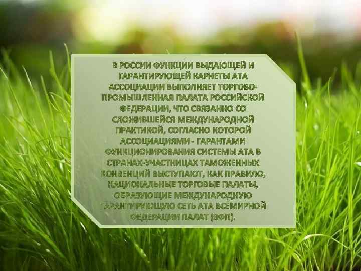 В РОССИИ ФУНКЦИИ ВЫДАЮЩЕЙ И ГАРАНТИРУЮЩЕЙ КАРНЕТЫ АТА АССОЦИАЦИИ ВЫПОЛНЯЕТ ТОРГОВОПРОМЫШЛЕННАЯ ПАЛАТА РОССИЙСКОЙ ФЕДЕРАЦИИ,