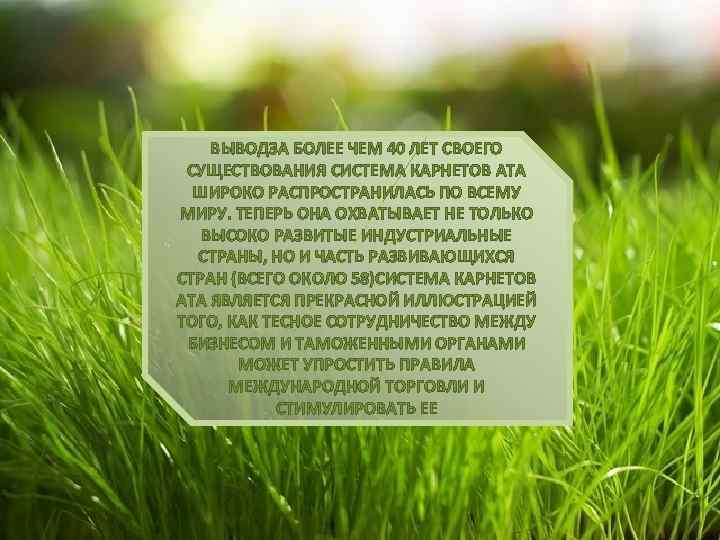 ВЫВОДЗА БОЛЕЕ ЧЕМ 40 ЛЕТ СВОЕГО СУЩЕСТВОВАНИЯ СИСТЕМА КАРНЕТОВ АТА ШИРОКО РАСПРОСТРАНИЛАСЬ ПО ВСЕМУ