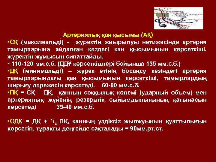 Артериялық қан қысымы (АҚ) • СҚ (максимальді) - жүректің жиырылуы нәтижесінде артерия тамырларына айдалған