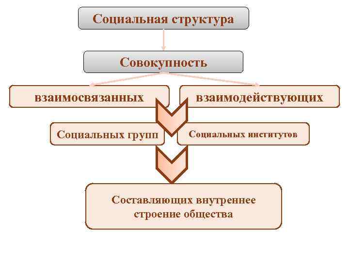 Социальная структура Совокупность взаимосвязанных Социальных групп взаимодействующих Социальных институтов Составляющих внутреннее строение общества 