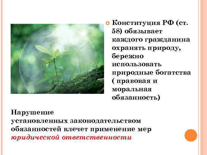  Конституция РФ (ст. 58) обязывает каждого гражданина охранять природу, бережно использовать природные богатства