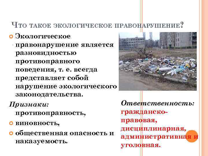 ЧТО ТАКОЕ ЭКОЛОГИЧЕСКОЕ ПРАВОНАРУШЕНИЕ? Экологическое. правонарушение является разновидностью противоправного поведения, т. е. всегда представляет