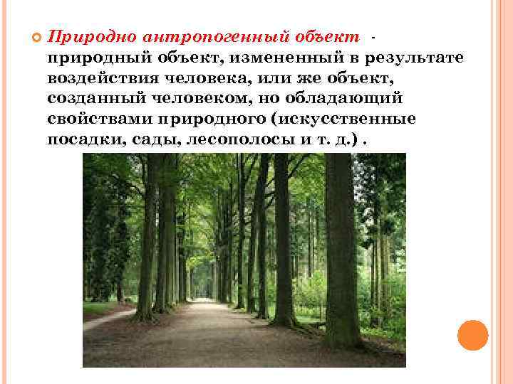  Природно антропогенный объект природный объект, измененный в результате воздействия человека, или же объект,