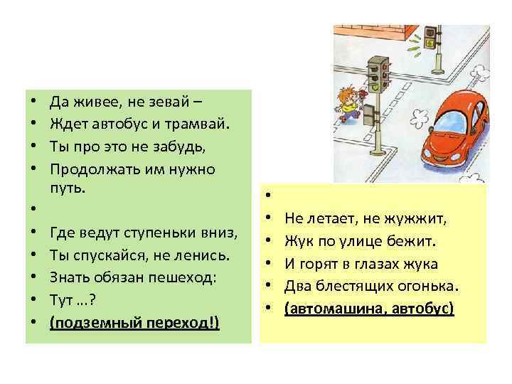  • • • Да живее, не зевай – Ждет автобус и трамвай. Ты