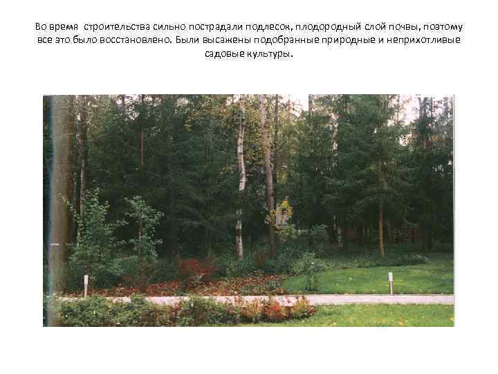 Во время строительства сильно пострадали подлесок, плодородный слой почвы, поэтому все это было восстановлено.
