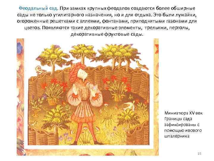 Феодальный сад. При замках крупных феодалов создаются более обширные сады не только утилитарного назначения,