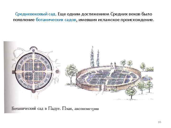 Средневековый сад. Еще одним достижением Средних веков было появление ботанических садов, имевших исламское происхождение.