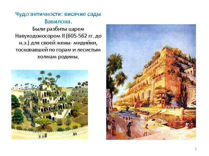 Чудо античности: висячие сады Вавилона. Были разбиты царем Навуходоносором II (605 -562 гг. до