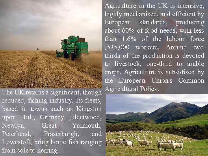 Agriculture in the UK is intensive, highly mechanised, and efficient by European standards, producing