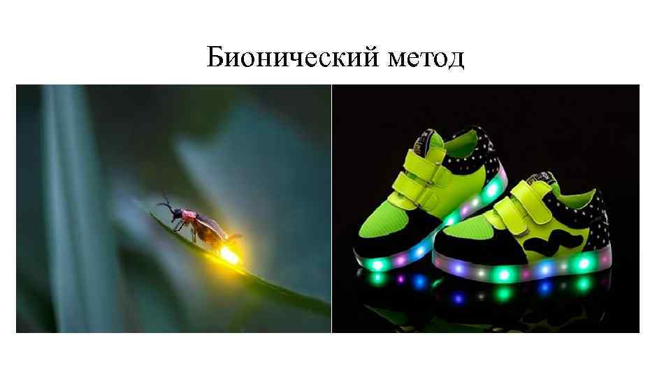 Бионический метод 