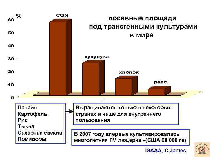 посевные площади под трансгенными культурами в мире Папайя Картофель Рис Тыква Сахарная свекла Помидоры